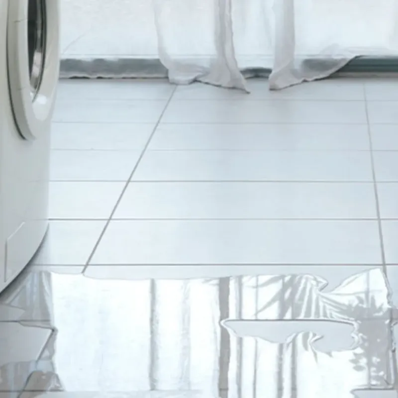 Appliance Leak Cleanup in Springdale, AR