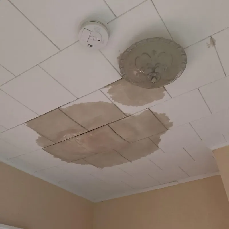 Ceiling Water Damage Repair in Springdale, AR