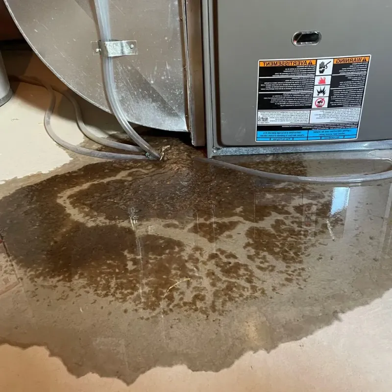 Pipe Burst and Leak Restoration in Springdale, AR