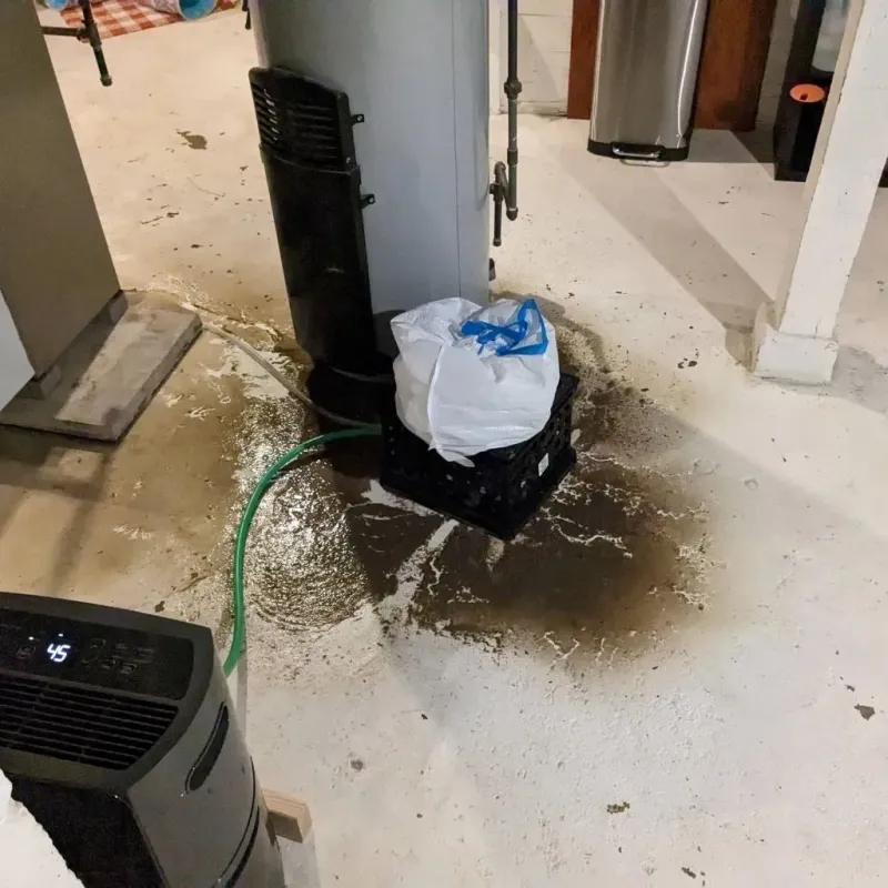 Sewage Backup Cleanup Service in Springdale, AR